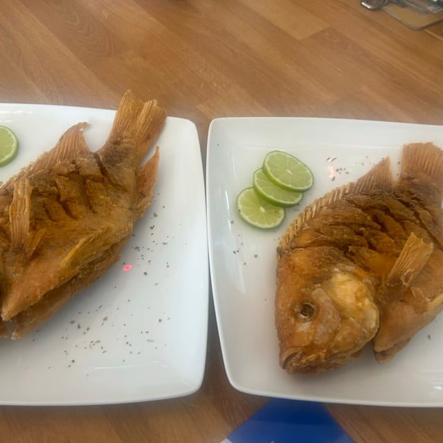 Mojarra (2x30).